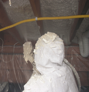 Sea Girt NJ crawl space insulation